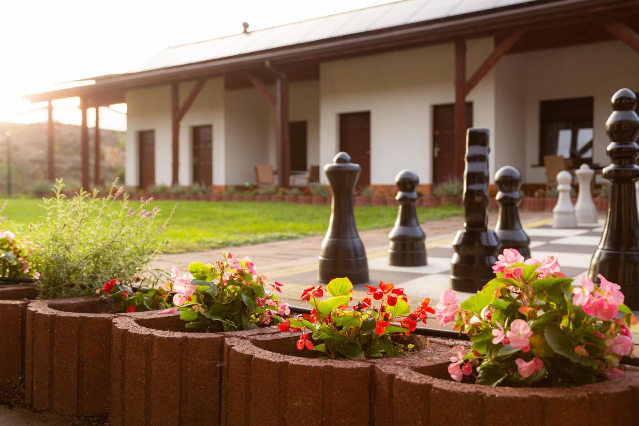 Hotel Nenufar Kościan Екстериор снимка